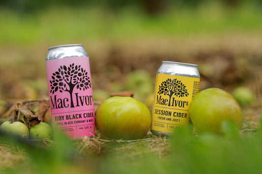 Mac Ivors Ruby Black and Session Cider in Armagh Orchard with PGI Status Bramley apples. 📸 Image by Philip Magowan/PA Wire
