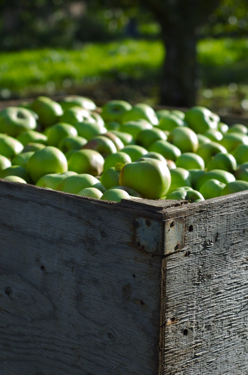 Ritchie Remo and Mac Ivors Cider – what a combo!