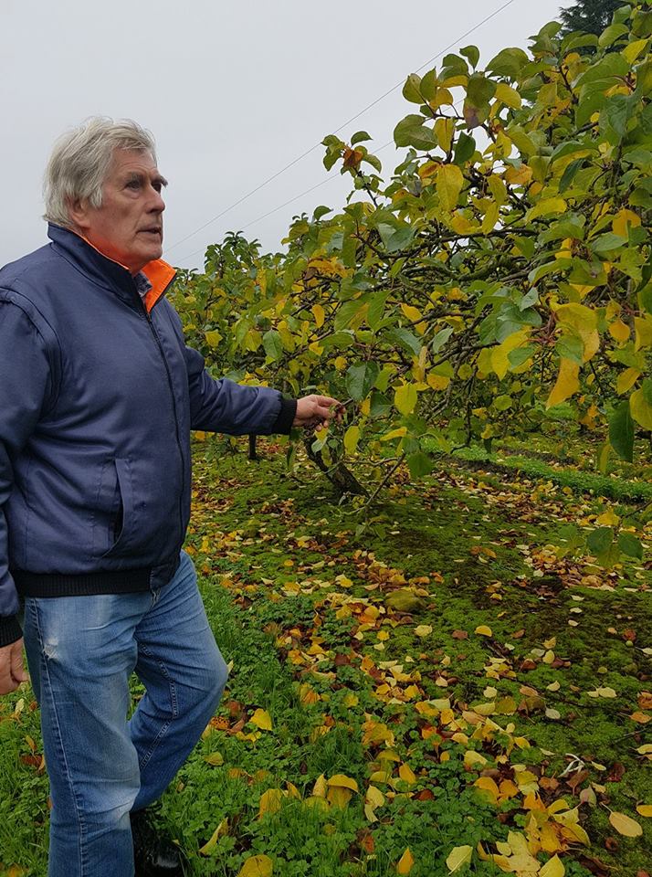 It’s oh so quiet as the orchards rest as Sammy talks about the pruning season